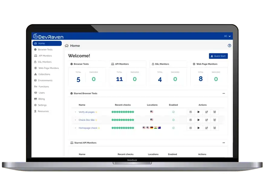 DevRaven product preview